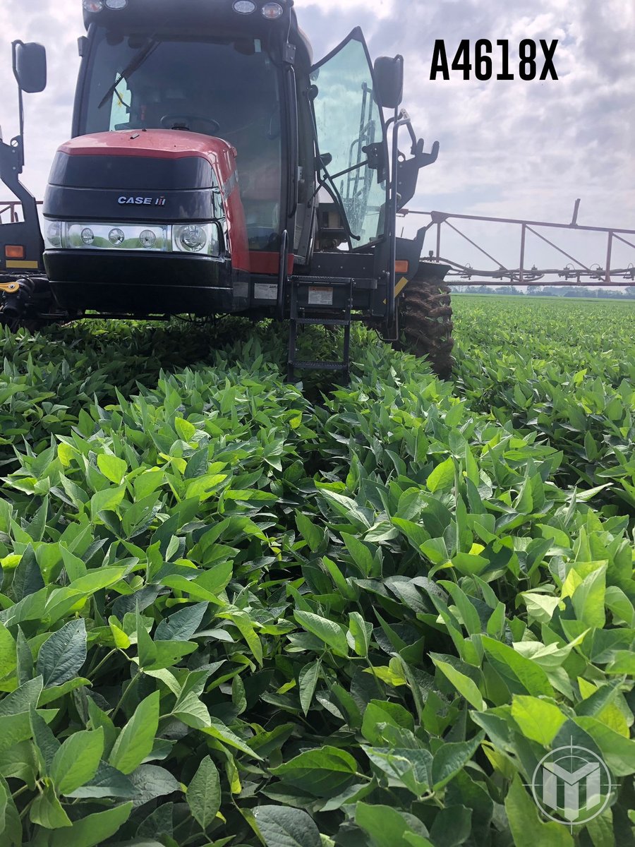 Mission Seed Solutions tweet media