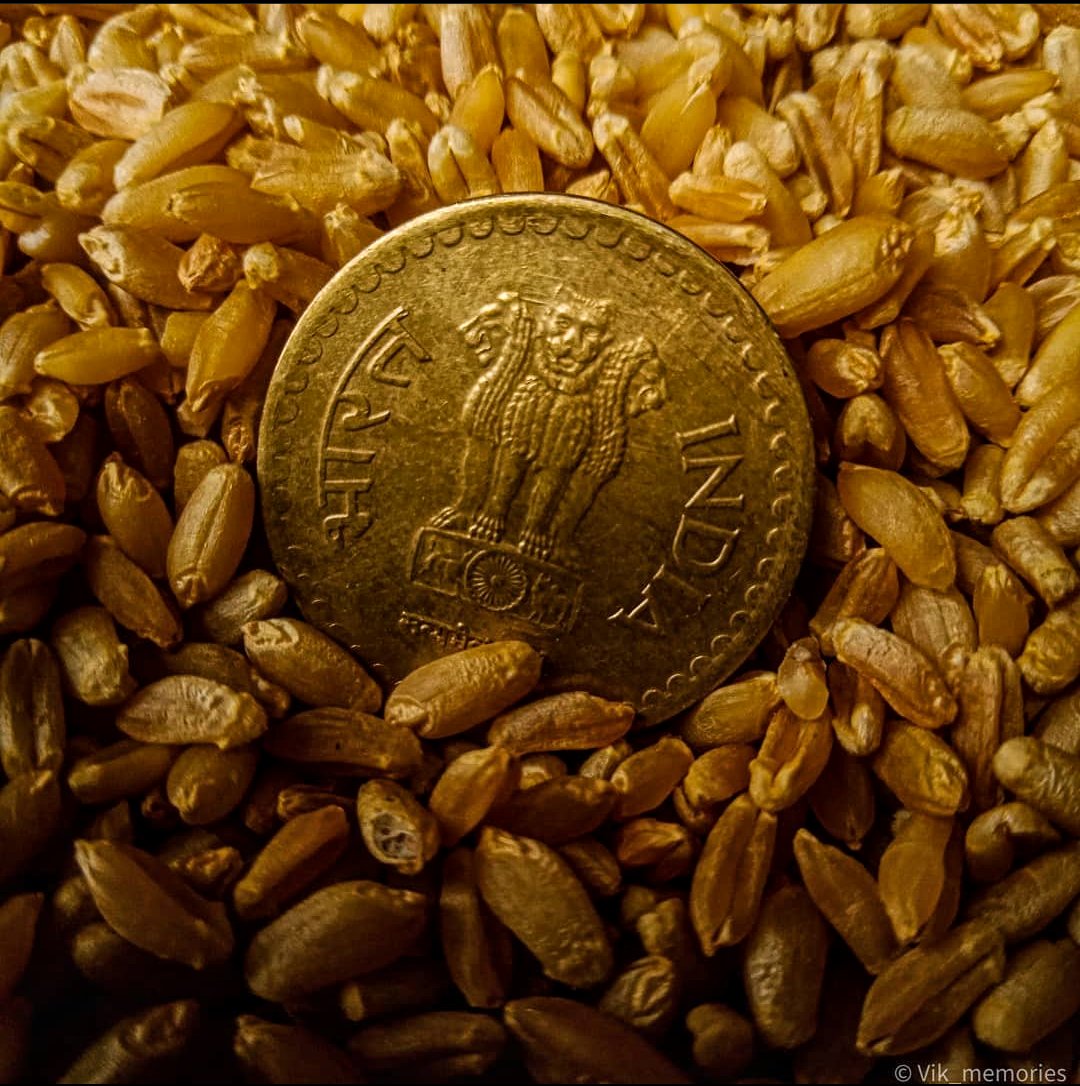 vikcreatives's tweet photo. Take a coin from your purse and invest it in your art...
#mobilephotography #opposhot #lightroom #lightroompreset  #ownpreset #coins #indiancoins #coinphotography #numismatics #shutterbugindia #photosensation
#googlephotos #gopro #oppoindia https://t.co/kXYDeiF1K6