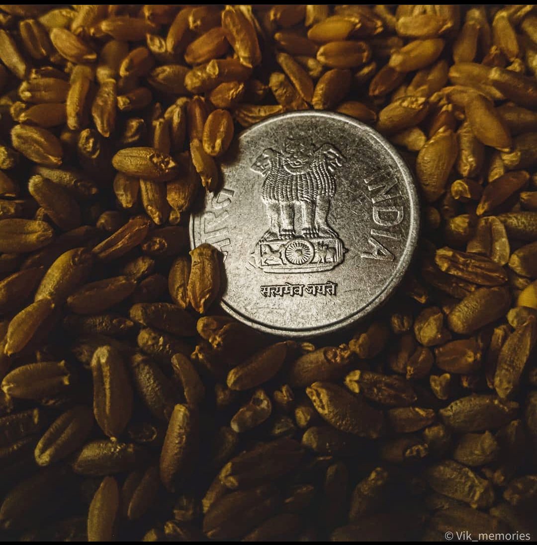 vikcreatives's tweet photo. Take a coin from your purse and invest it in your art...
#mobilephotography #opposhot #lightroom #lightroompreset  #ownpreset #coins #indiancoins #coinphotography #numismatics #shutterbugindia #photosensation
#googlephotos #gopro #oppoindia https://t.co/kXYDeiF1K6