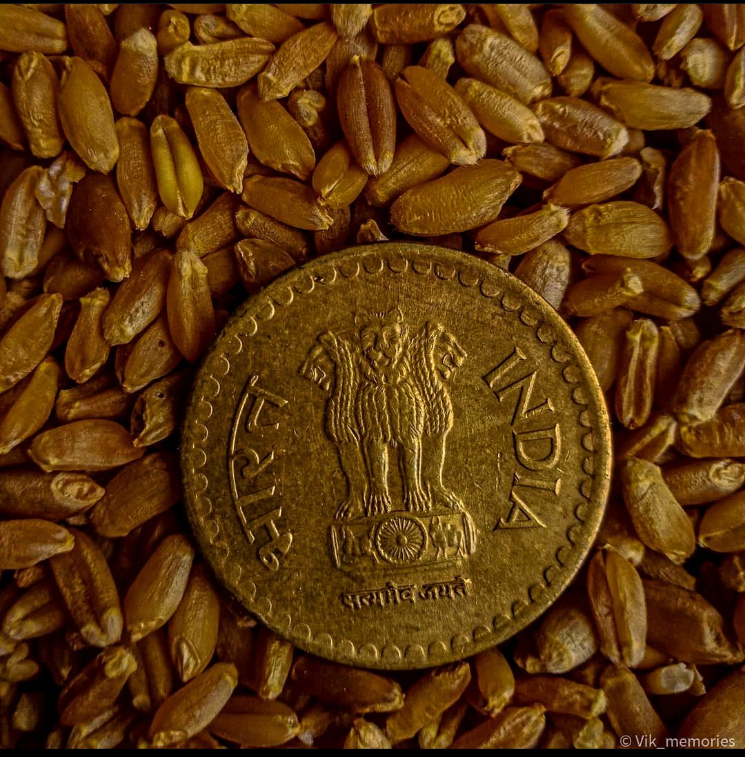 vikcreatives's tweet photo. Take a coin from your purse and invest it in your art...
#mobilephotography #opposhot #lightroom #lightroompreset  #ownpreset #coins #indiancoins #coinphotography #numismatics #shutterbugindia #photosensation
#googlephotos #gopro #oppoindia https://t.co/kXYDeiF1K6