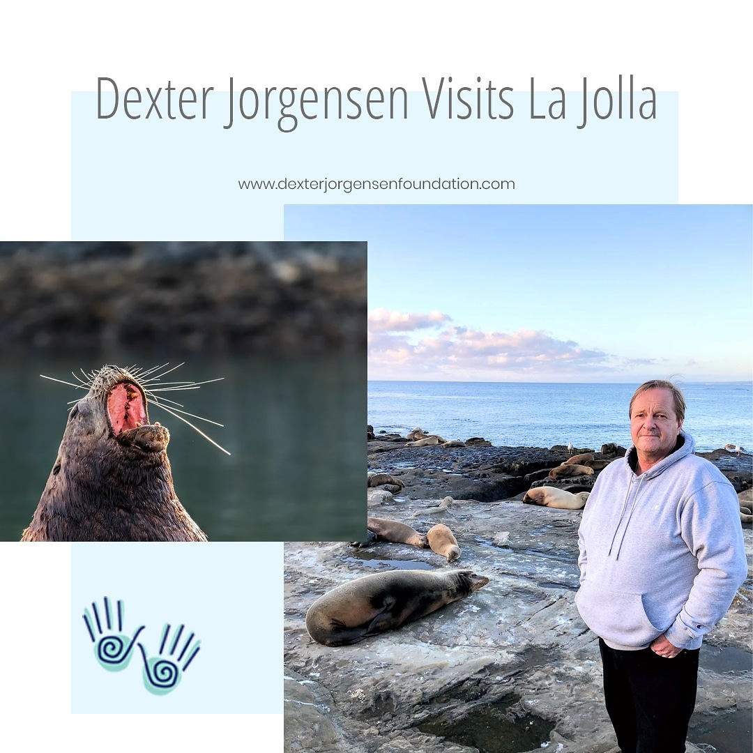DexterJorgense3's tweet photo. Read the blogs by Dexter:  https://t.co/54ARl5epK8 https://t.co/VpjIjzdvTf
