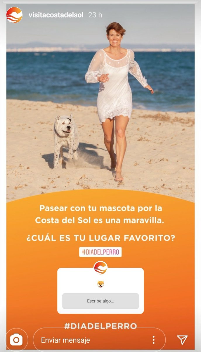 rouan_pdae's tweet photo. ¿Pasear por la playa? ¡Bien saberlo! 🐶

🏖 Este es un mensaje del Patronato de Turismo de la Costa del Sol de la @diputacionMLG ☀ @vivecostadelsol https://t.co/xU9lwrBeDq