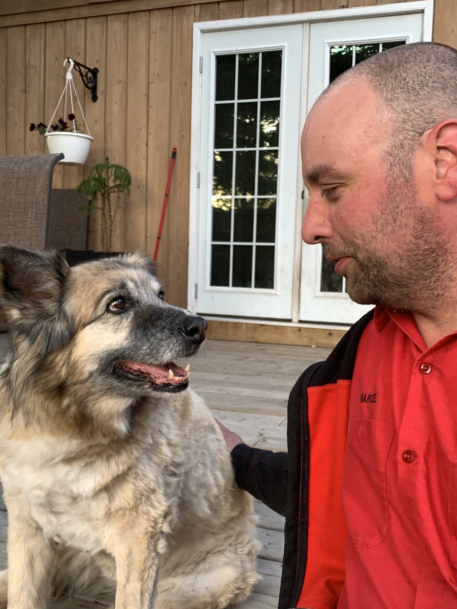 zakattak67's tweet photo. My hardest day as an adult. Lucy took a turn for the worse last night and we had to say goodbye this morning. Love u forever, Big Girl! #FatCow #SmileyJoe #LimpyJoe #OneEar https://t.co/cd2i9HkV8o