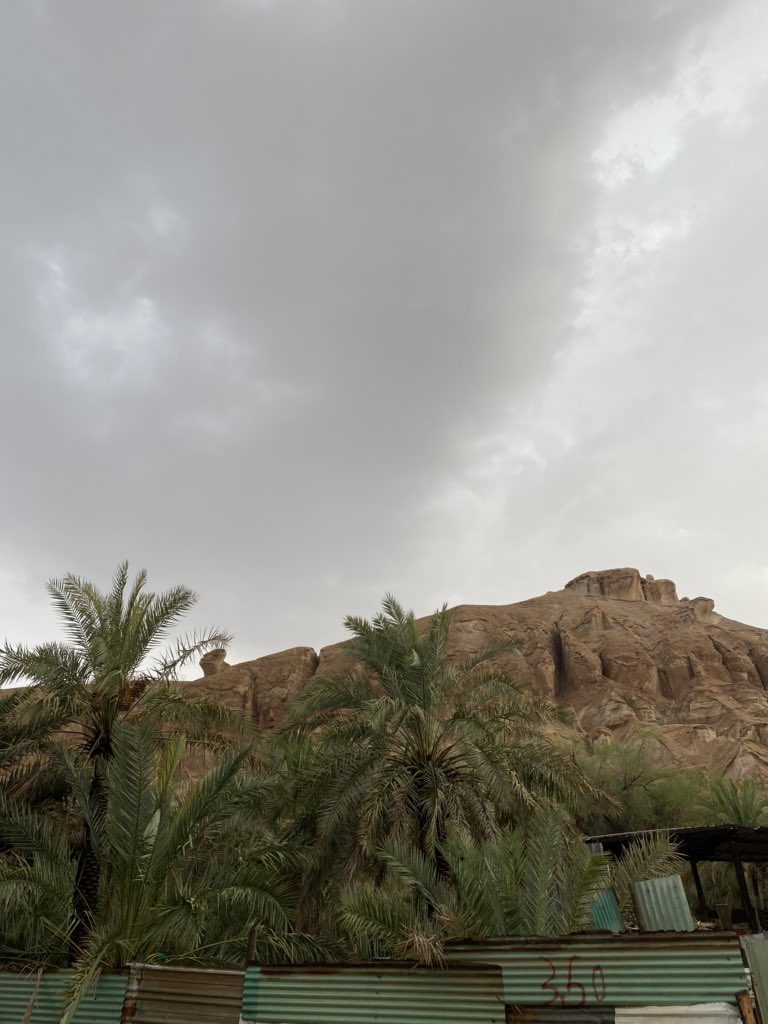 mm551049's tweet photo. #الاحساء https://t.co/sAFqUBUvgr