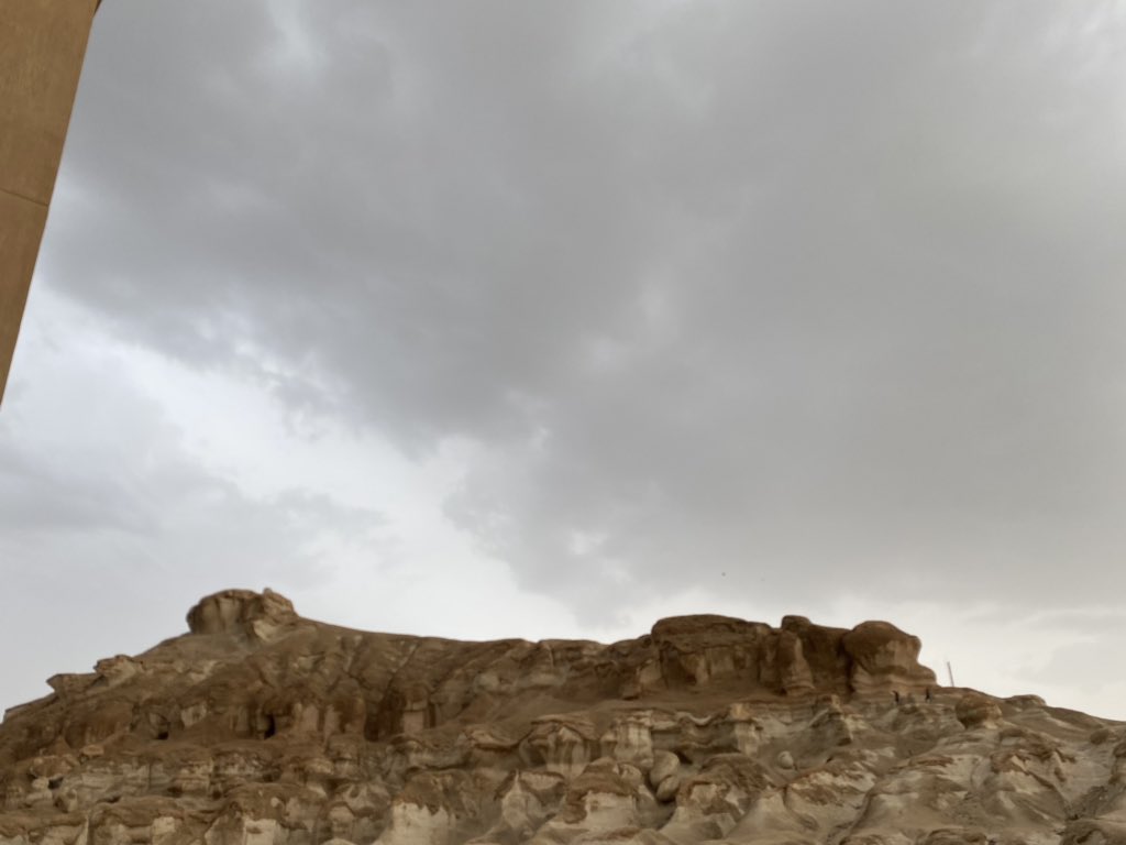 mm551049's tweet photo. #الاحساء https://t.co/LWLrBzTbG3