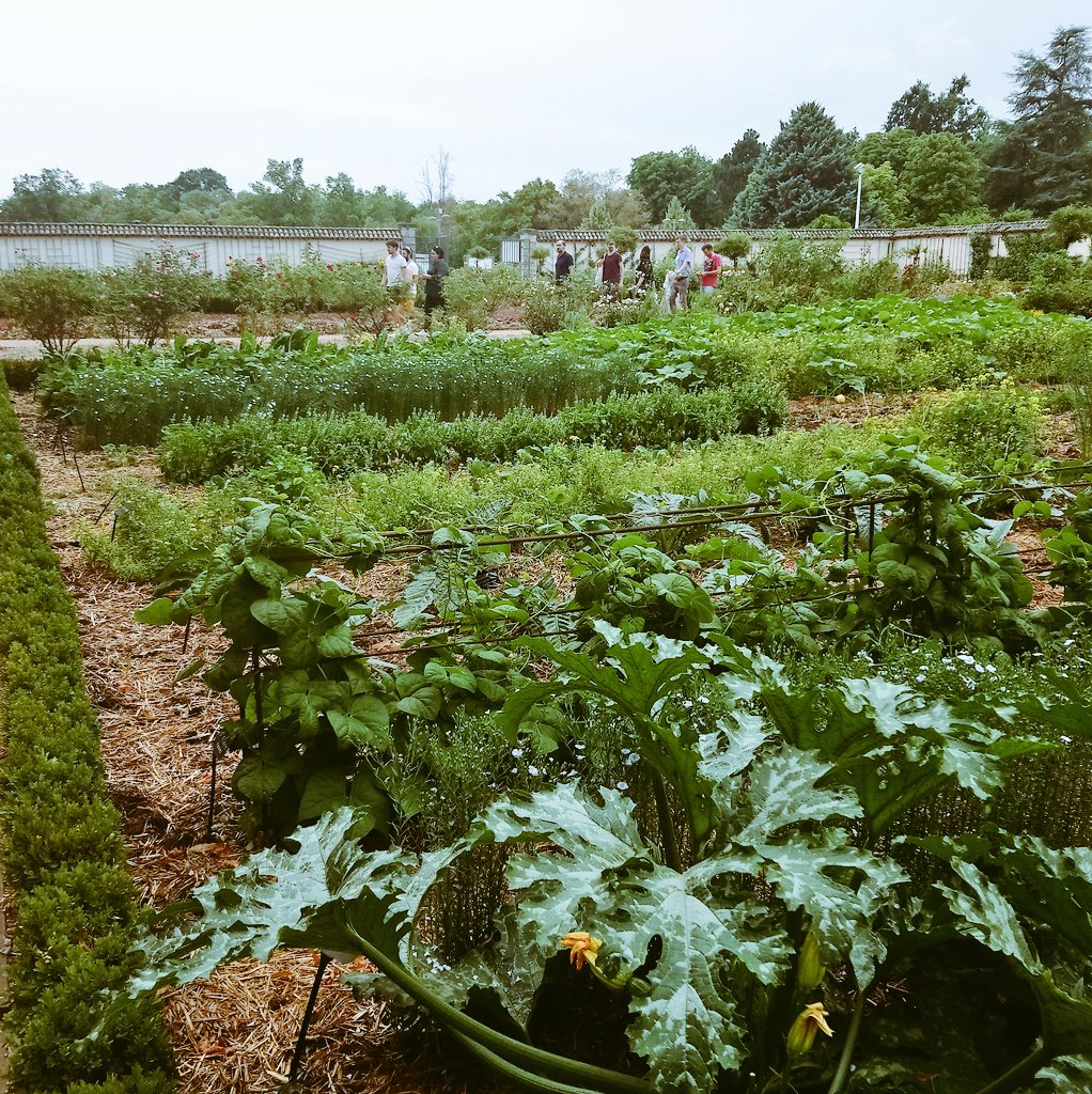 Christophe Monnet tweet media