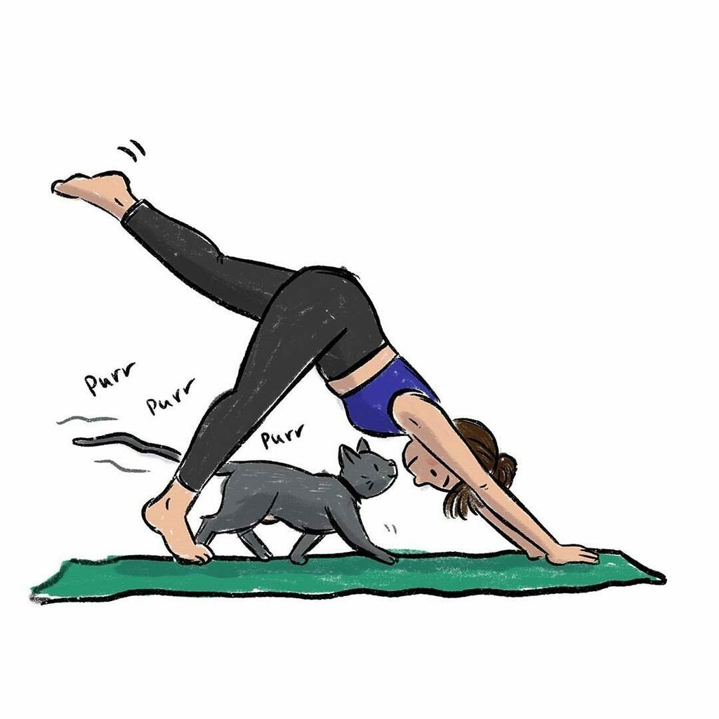 RootLiterary's tweet photo. Downward-facing... cat? 🐾 Here's some #WeDrawWednesday artwork for you by #RootLitIllustrator @sarahsaxart.⠀
⠀
#sarahsax #yoga #cats #rootlitillustrators #rootlit #kidlit #kidlitart #illustration #kidlitillustration #illustrate #drawing #drawin… https://t.co/QEKMeu4Lid https://t.co/Q1Px1FWpoo