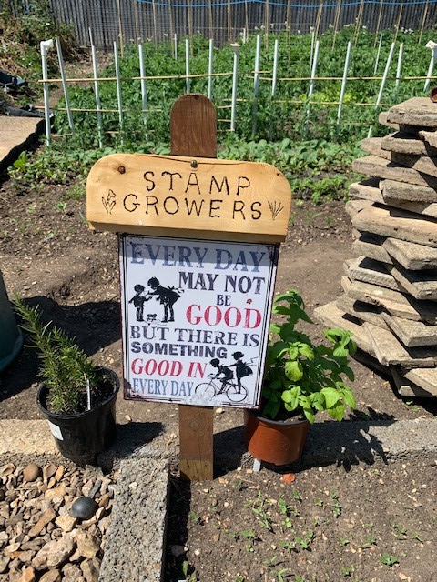 PardyJess's tweet photo. One of our lovely Mansbridge allotment holders has made wooden signs for everybody's plot and they look fantastic! 

And the wonderful Mike and Becky here showing off the amazing progress they have made on their plot in the last few months #community  #gardening #allotment https://t.co/uhGVJgxqCe