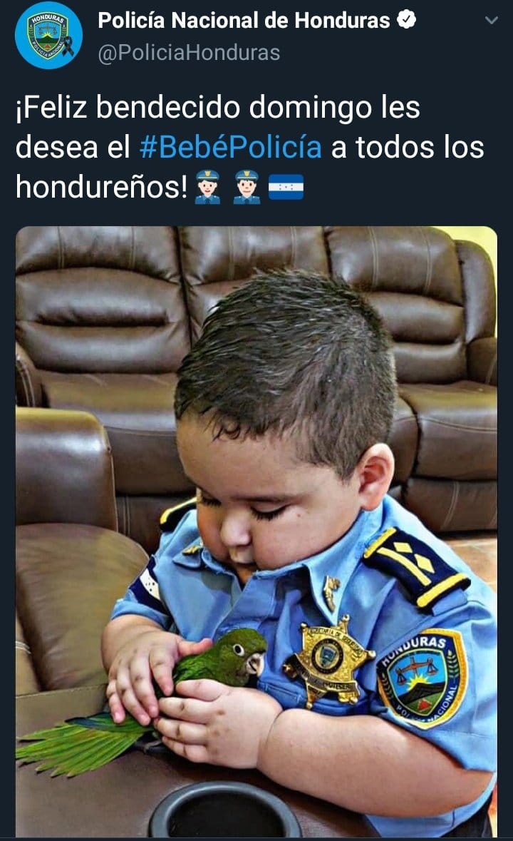 LainezJuanse's tweet photo. Y en medio de pandemia, compras ilícitas y colapso del sistema salud, siempre se encuentra tiempo para desaparecer gente. #fearworks Y esta foto de propaganda dessafortunada y asquerosa. https://t.co/IW2kMpLQfW