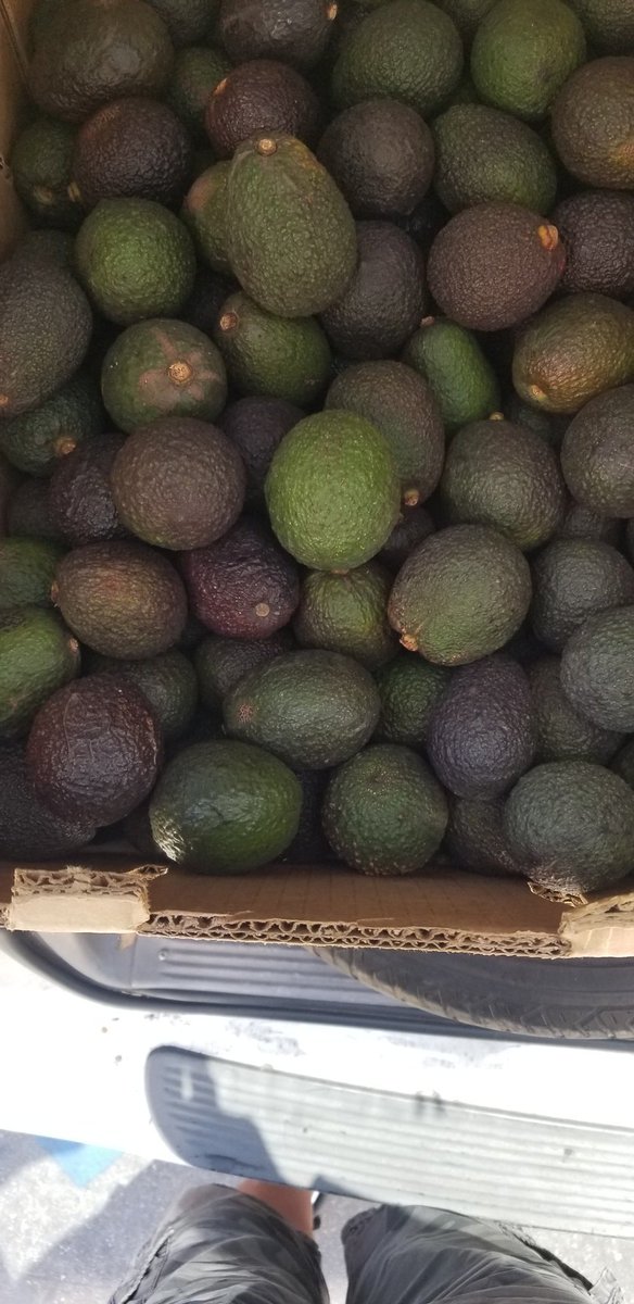 feeding_motion's tweet photo. We are excited and humbled to be able to participate tonight at Breath of the Spirit Ministries @DrMichelleC Wednesday night Service by supplying food items for their grocery give away. We will be supplying CA avocados. We count it a blessing to be able to serve.
#feedingmypeople https://t.co/NHvkkXYZSX