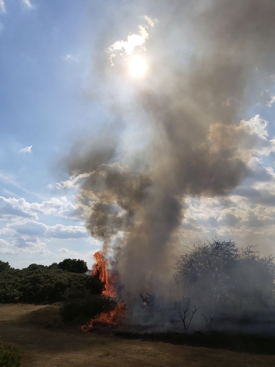 KentPoliceDart's tweet photo. #LPT5 officers and @kentfirerescue are currently dealing with a fire at Dartford Heath. It is under control however public are advised to stay clear of the area. Cause of the fire is unknown at this stage and there are no injured parties #jointresponse (22-1009) SOC https://t.co/GU4LdWaCyV