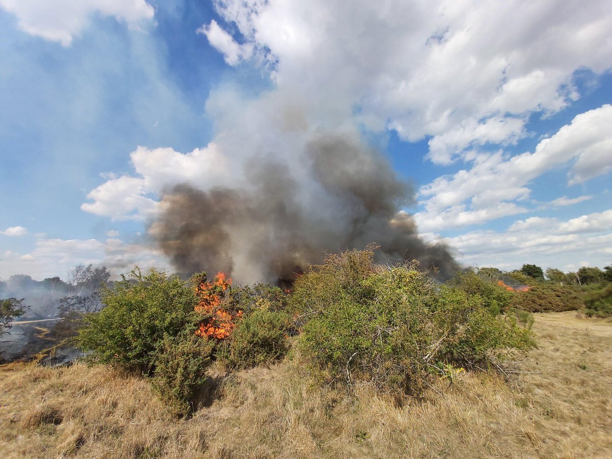 KentPoliceDart's tweet photo. #LPT5 officers and @kentfirerescue are currently dealing with a fire at Dartford Heath. It is under control however public are advised to stay clear of the area. Cause of the fire is unknown at this stage and there are no injured parties #jointresponse (22-1009) SOC https://t.co/GU4LdWaCyV