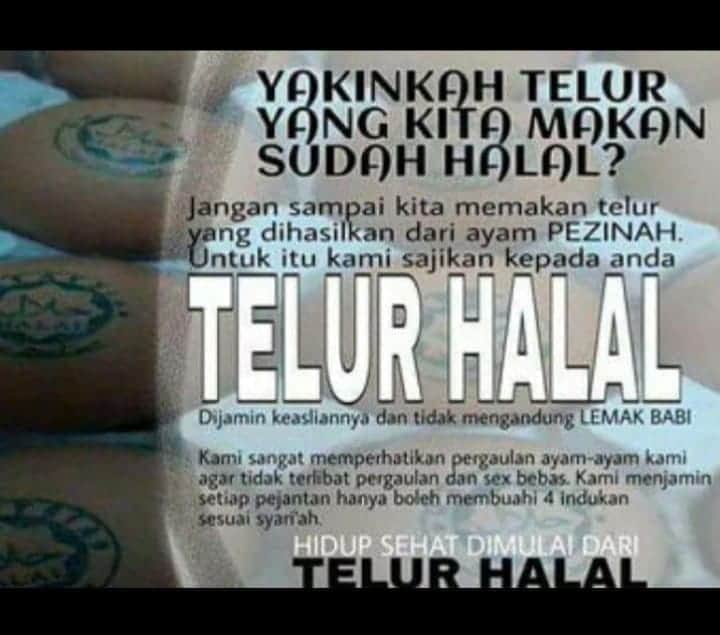 alpin_daffa05's tweet photo. Kemaren ribut klepon ini ada lg jika konsumsi telor jg ayamnya harus dinikahkan dulu biar kita tdk konsumsi telor hasil zina ayam,bebek atau itik 🤣🤣🤣. Hancur .. hancur @safira_floran @tandanVradio @Berty69968038 @SoffiAgus https://t.co/OVxRVCsFRP