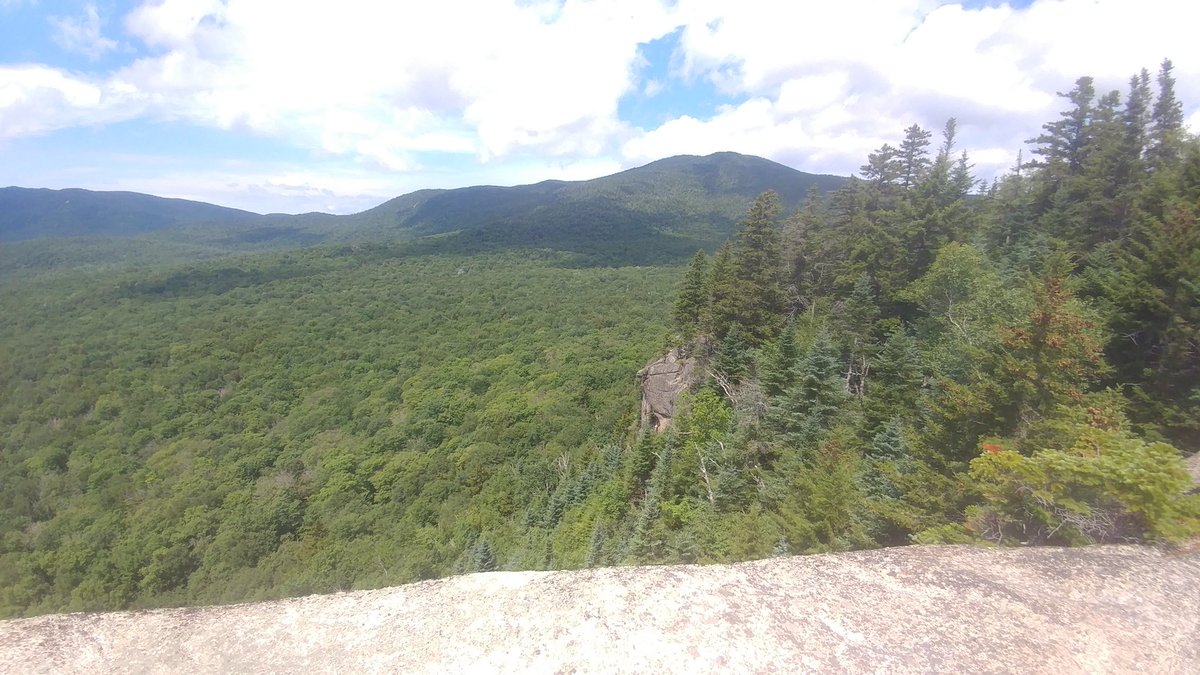 Mr.Walsh tweet media