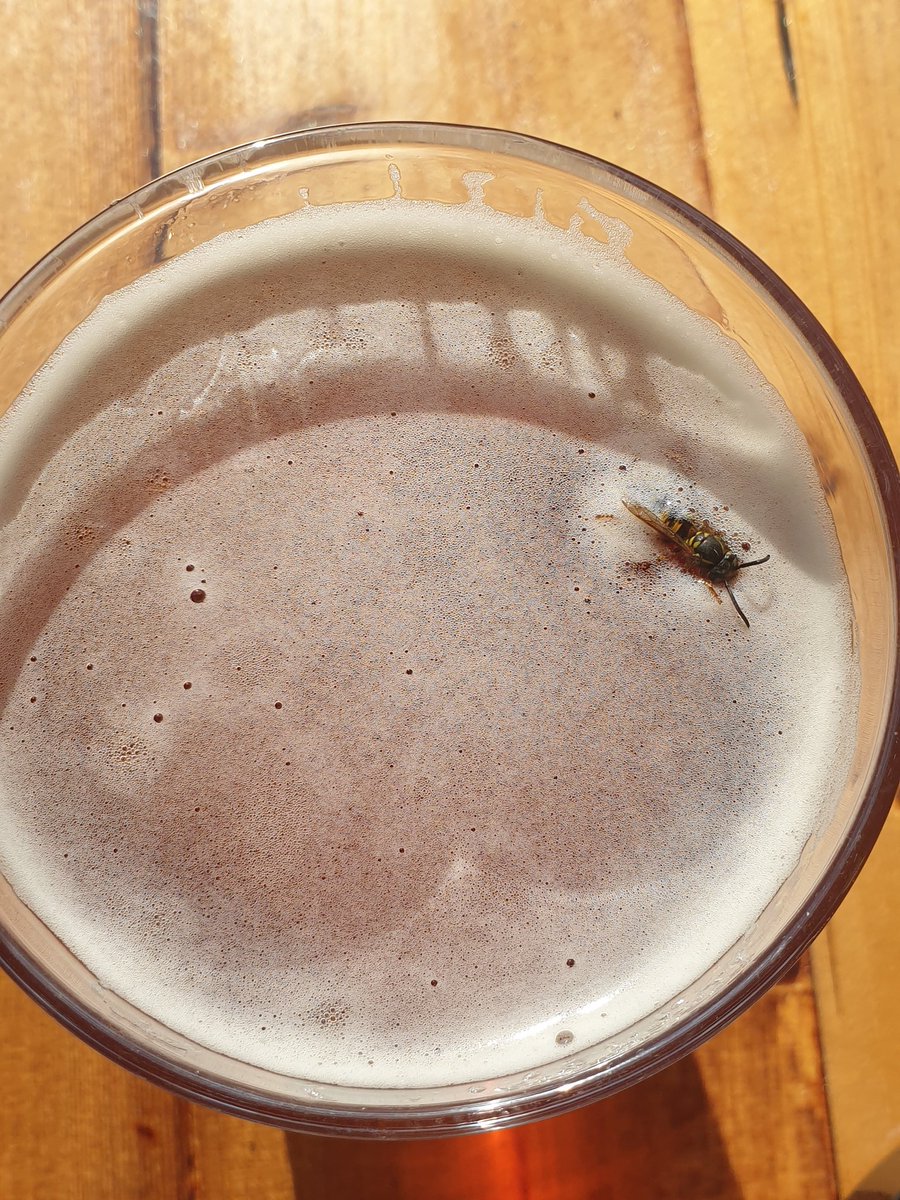 dibbbling's tweet photo. Even the wasps in North Finchley are discerning, and love a swim in a pint of Upright IPA. #booze #buzz @LondonBrewingCo @Bohemia_N12 https://t.co/d0uGga5zbZ