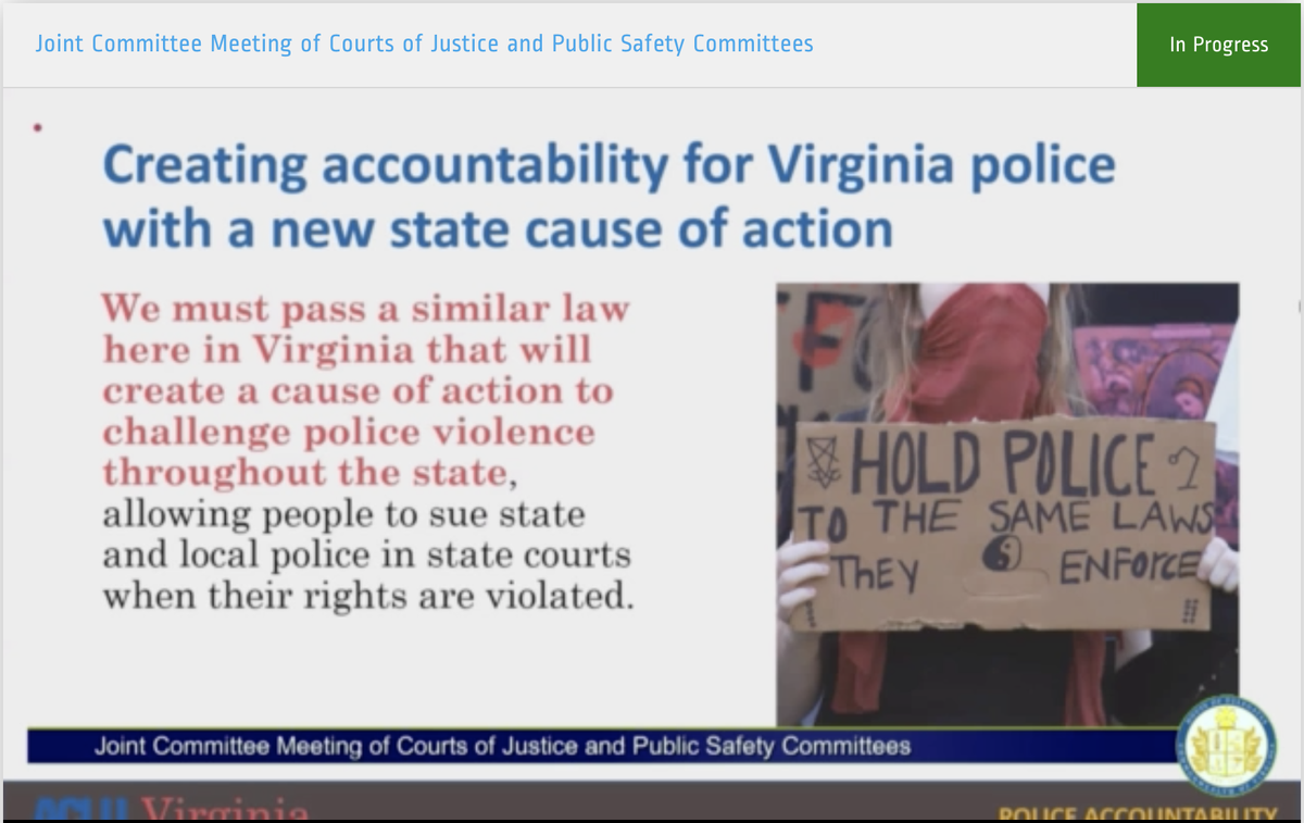 the VA ACLU advocates for a state law that would allow citizens to sue the police & receive damages for police violence