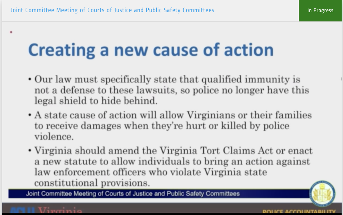 the VA ACLU advocates for a state law that would allow citizens to sue the police & receive damages for police violence