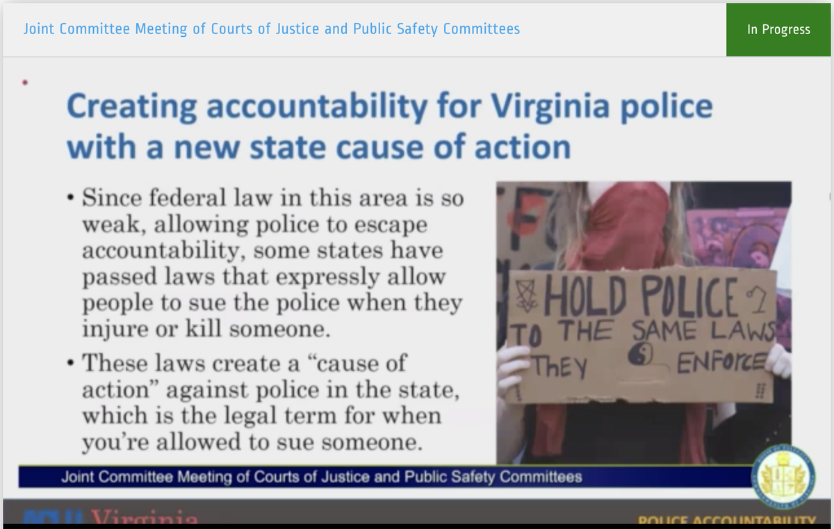 the VA ACLU advocates for a state law that would allow citizens to sue the police & receive damages for police violence