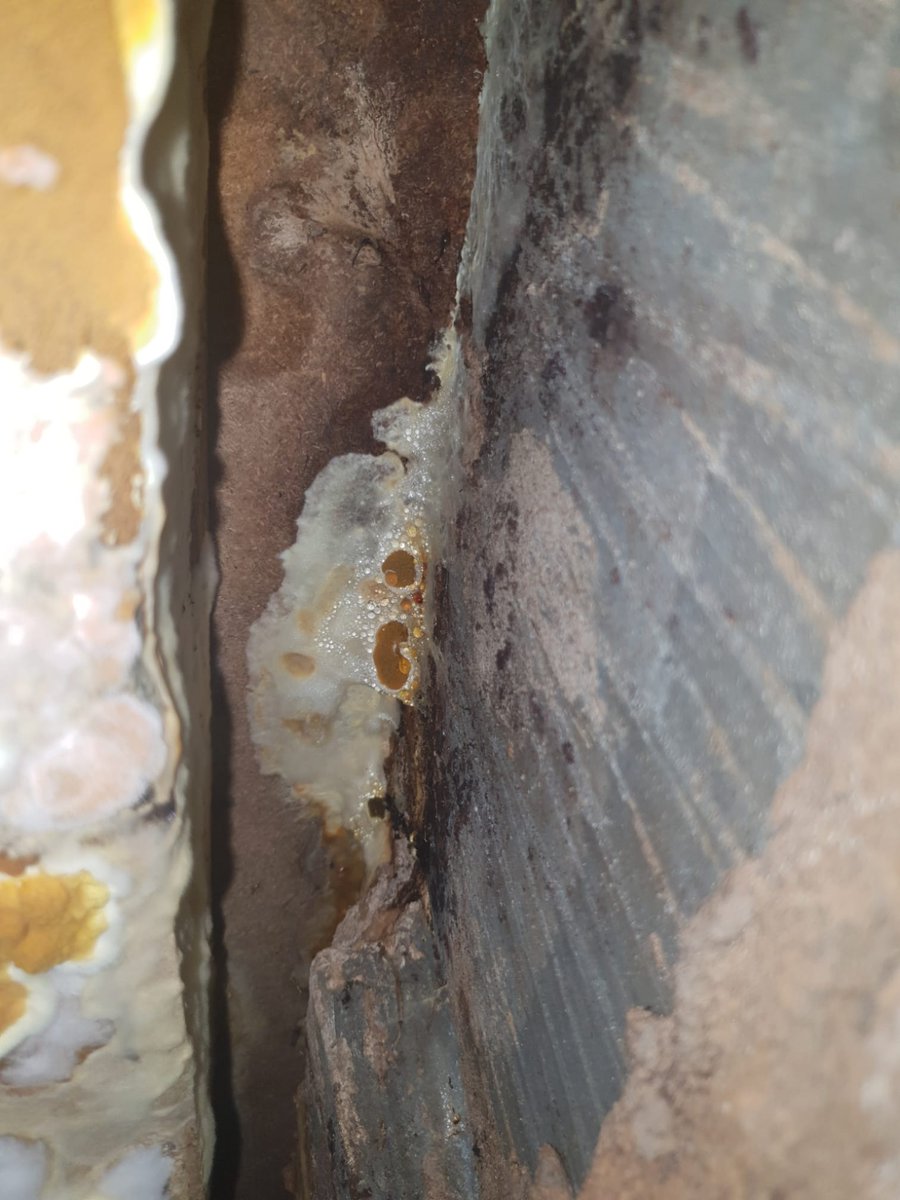 CureDamp tweet media