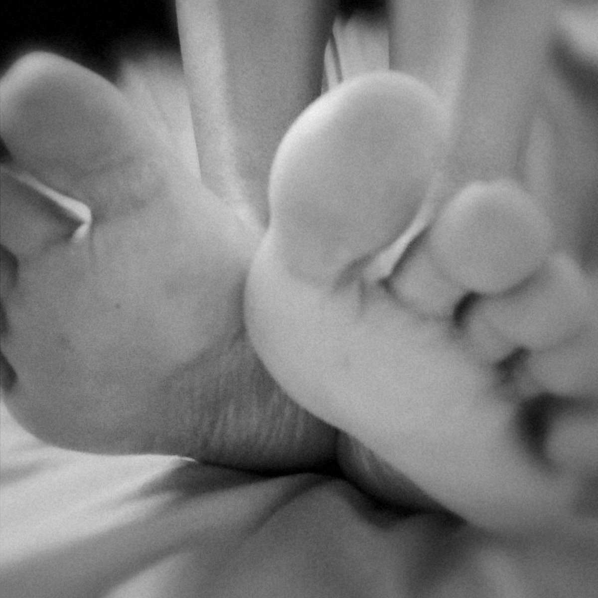 LisaFeetish1's tweet photo. Morning sunshine 🌞 #feet #foot #pie #pies #feetpics #footpics #piede #feetlover #feetpics #feetporn #cutefeet #footworship #footfetishnation #footfetish #feetfetishworld #footfetishcommunity #feetpicsforsale #feetlove #footlover #feetmodel #footmodel #feetstagram #toesofinst https://t.co/CNEebrYYlk
