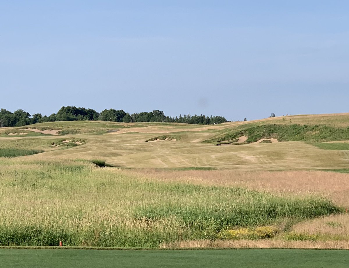 JordanKalous's tweet photo. Grass!!!!! Looks better then it did a month 22 days ago https://t.co/0j3KXNVthw