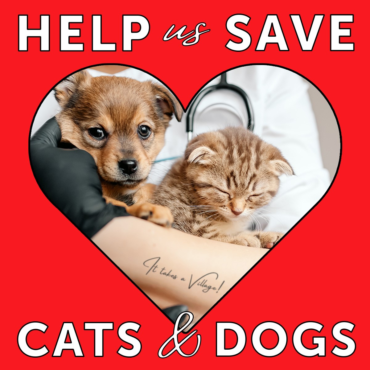 HAVLV's tweet photo. Did you know that HAVLV is opening a veterinary clinic? This fall, we'll open the first nonprofit, full-service, low-cost clinic in Nevada. Every animal deserves great care, even when their parents are struggling to make ends meet. #veterinaryclinic #AdoptDontShop #LasVegas #pets https://t.co/mK6ifdStD1