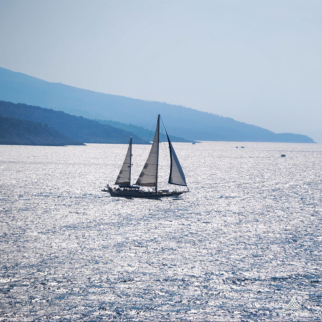 VdeBravado's tweet photo. ¿Preparados para zarpar? ⛵
En días tan soleados como este, no se nos ocurre un mejor plan que navegar en alta mar en compañía de los nuestros. 🌊 https://t.co/SnzbtArr7T