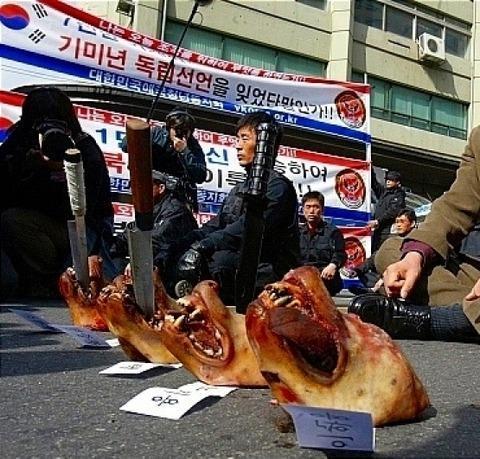 notodogmeat's tweet photo. @moonriver365
@TheBlueHouseENG
 @MOFAkr_eng
@SwedeninKR
@HallgrenJakob
@DKAMBinKorea
@M_Reiterer
@sejong
@mofa_kr_pd
@GermanyinKorea
@UKinKorea
 @SimonSmithFCO

  #NTDM Korean men torture Japanese dogs to protest against Japan - proudly and legally in front of korean flag https://t.co/fYJvfKRS5c