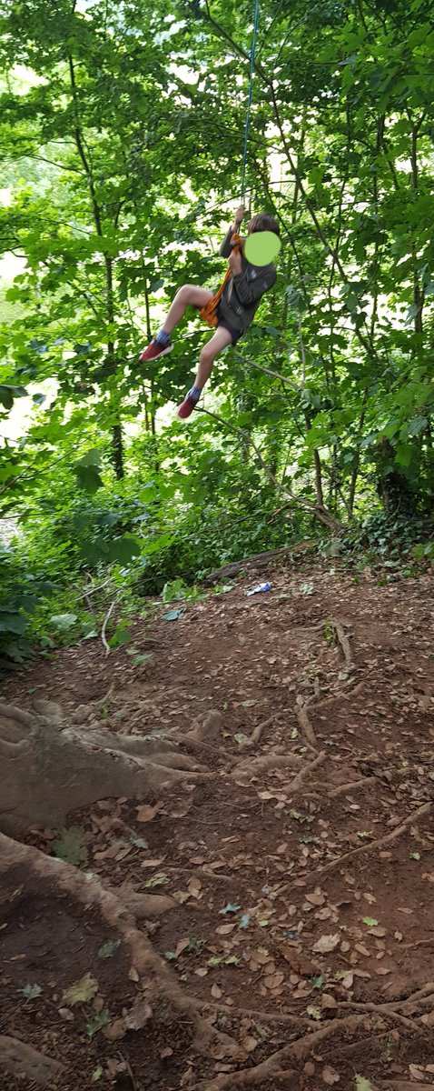sjmlees's tweet photo. @charlie_psych In the woodland on the embankment opp the Hower Douse. Just past a large stone monument. https://t.co/rz7C8cLtNW