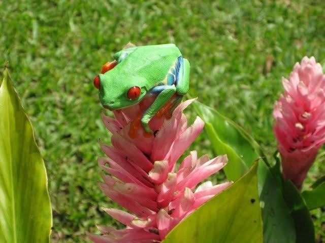 "No matter how talented, how rich, or how educated you are, conscience is about how you treat others, and that says everything about you. Express human kindness in everything you do." - Soo-Ling Chan, an artist from USA
#ChangeTheWorldWithConscience #InternationalConscienceDay