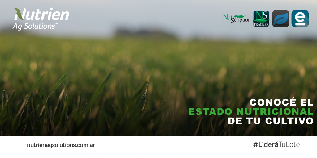 ➡️ Obtené un diagnóstico rápido y preciso del estado nutricional de tus cultivos junto a #Nutriscription, nuestra tecnología de análisis de muestreo foliar.
.
#NutrienAgSolutions #LideráTuLote