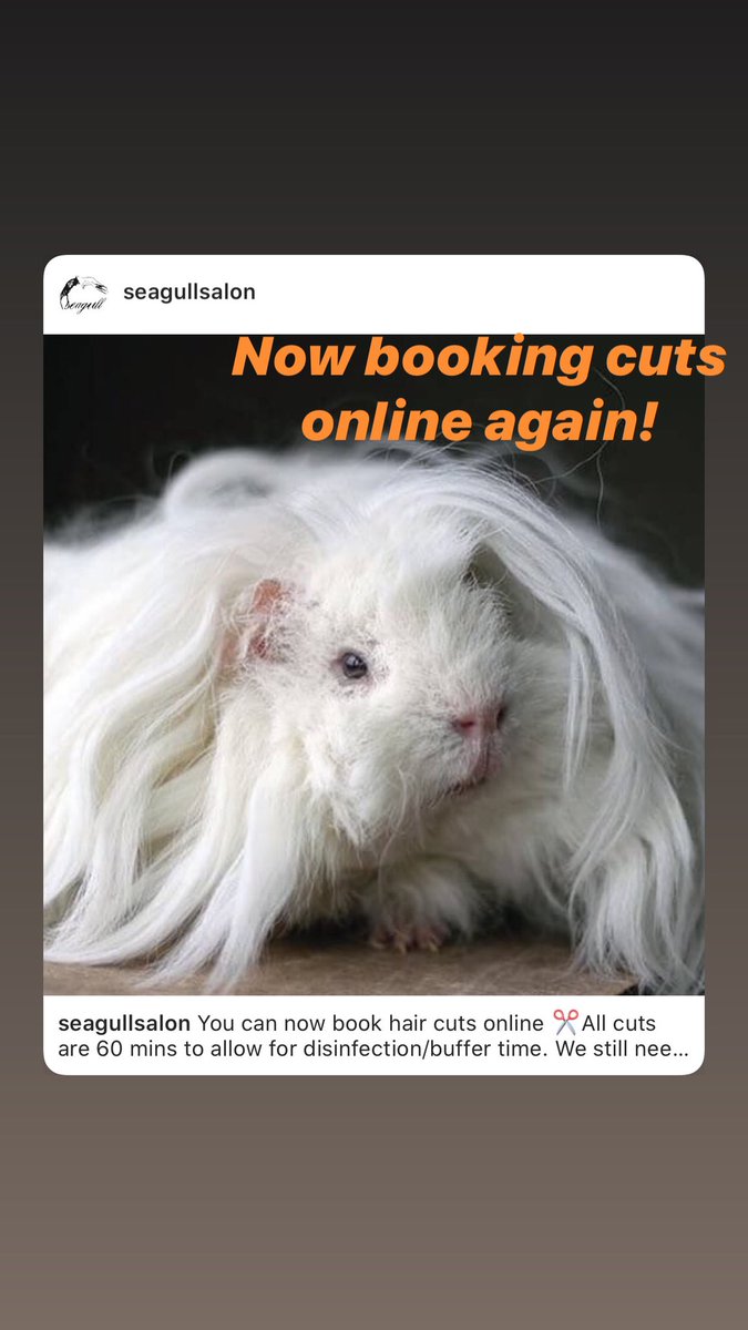 Seagull Salon (@seagullsalon) on Twitter photo 