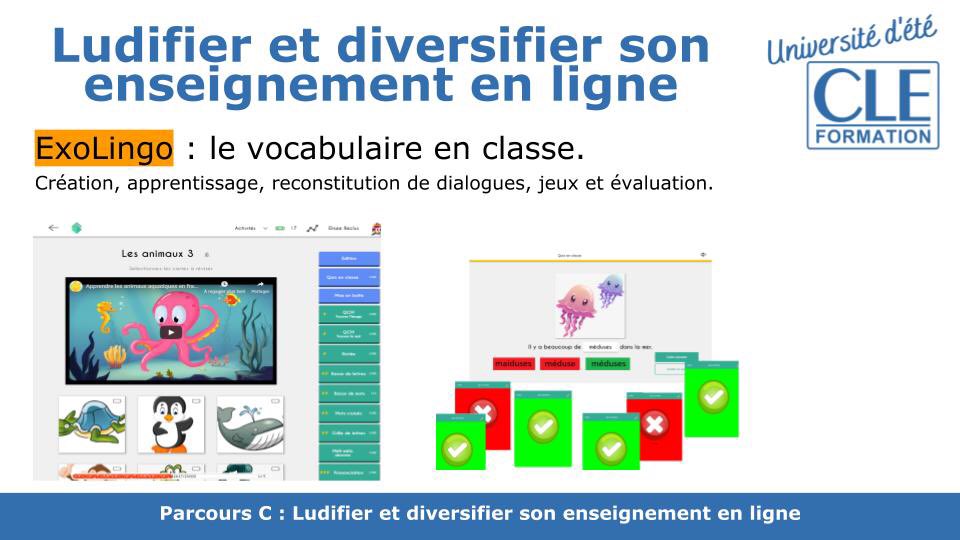 virgile_ma's tweet photo. 🙏 @CLEinter #cleformation #ludifier et #diversifier son #enseignement en ligne @ph_liria @BugnetStephane #reginarizzi https://t.co/XgKZiye96Q