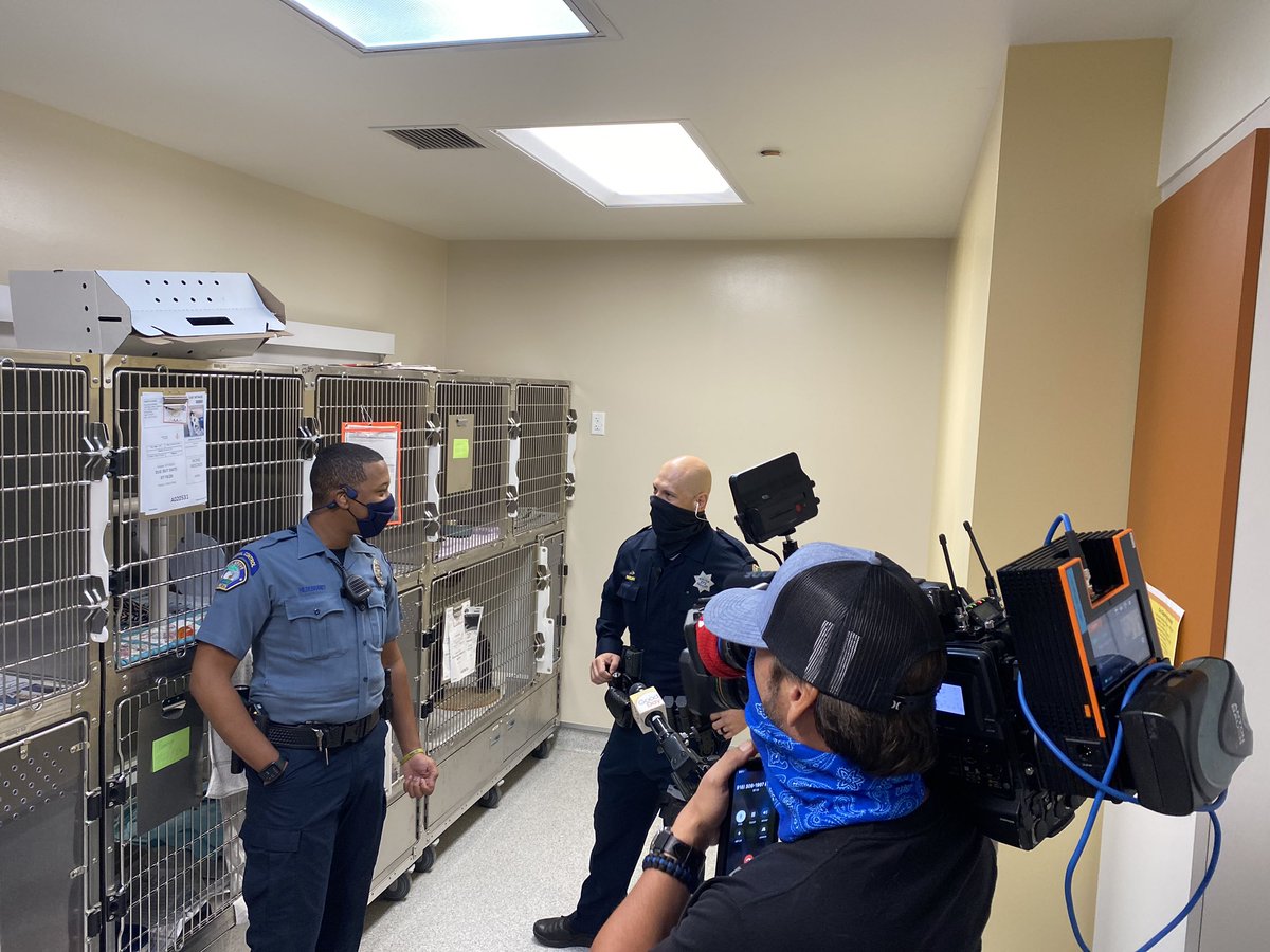 Tune into <a href="/GoodDaySac/">Good Day Sacramento</a> now to checkout the story about Avalon the kitty! <a href="/TvCamHagz/">Terry Hagz</a>
