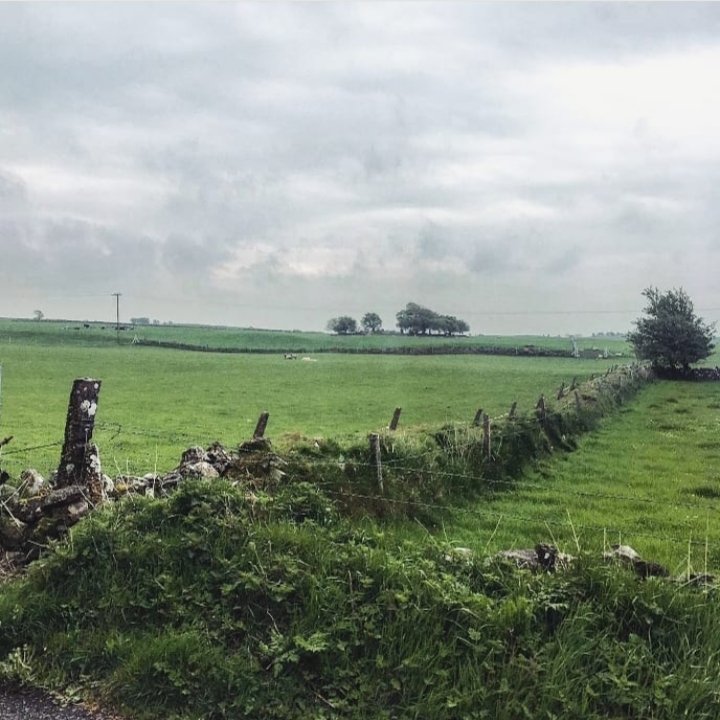 irarchaeology's tweet photo. This simple earthen bank in Co Galway is not just a field division, it also marks a townland, a parish and a barony boundary. It's quite feasible that parts of it are over 1000 years old. https://t.co/owOIpgS5RZ