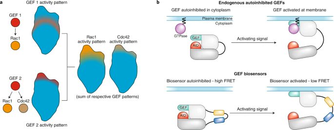 Nature Chemical Biology tweet media