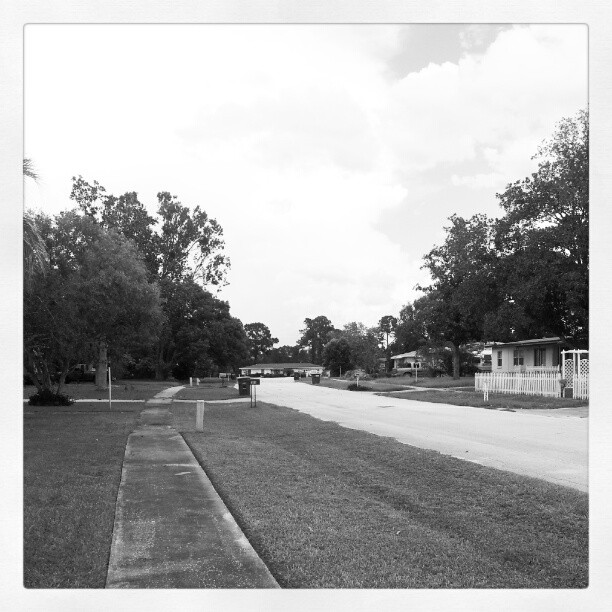 notanartistpics's tweet photo. My old street.
#picture #PICTUREOFTHEDAY #blackandwhitephotography #blackwhite #blackandwhite #depth #depthobessed #street #streets #streetpicture #streetphotography #home #homestreet #streetview #pictures #picturethis #landscape #landscapephotography #tree #trees #TreeofTwitter https://t.co/V591O8L1JC