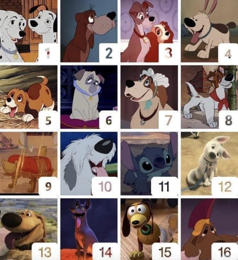 Solo puedes quedarte con uno.🐶💕👇🏼