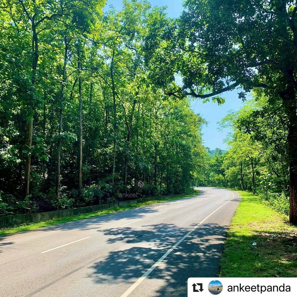 BBSRBuzz's tweet photo. #bhubaneswarbuzz Daspalla:: driven through this road yet? Pic courtesy @ankeetpanda
・・・
By far the most scenic road in #Odisha 😍
.
#cornersofindia #travelrealindia #_coi #_m_o_i #_instaindia_ #_travelersofindia #cornersofindia #incredibleindia #TheInvincibleIndia #W… https://t.co/oW7HXuJj9x