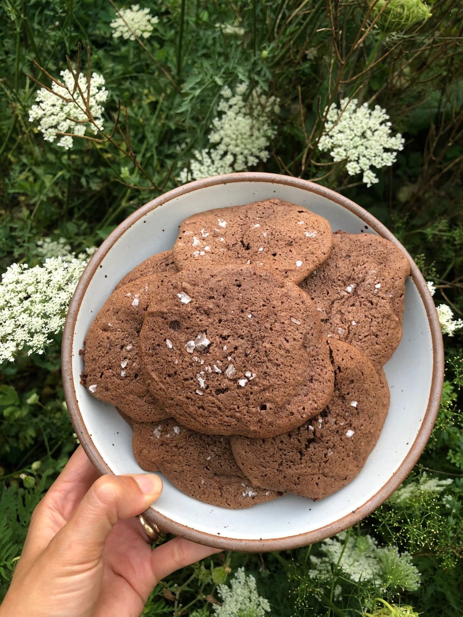 diazarchives's tweet image. Took part in @psulibs' #TheGreatRareBooksBakeOff by making chocolate drop cookies. A slight #bakingfail as they flattened out--nothing some flowers can't help. #BakePennState Here's the recipe: sites.psu.edu/greatrarebooks…