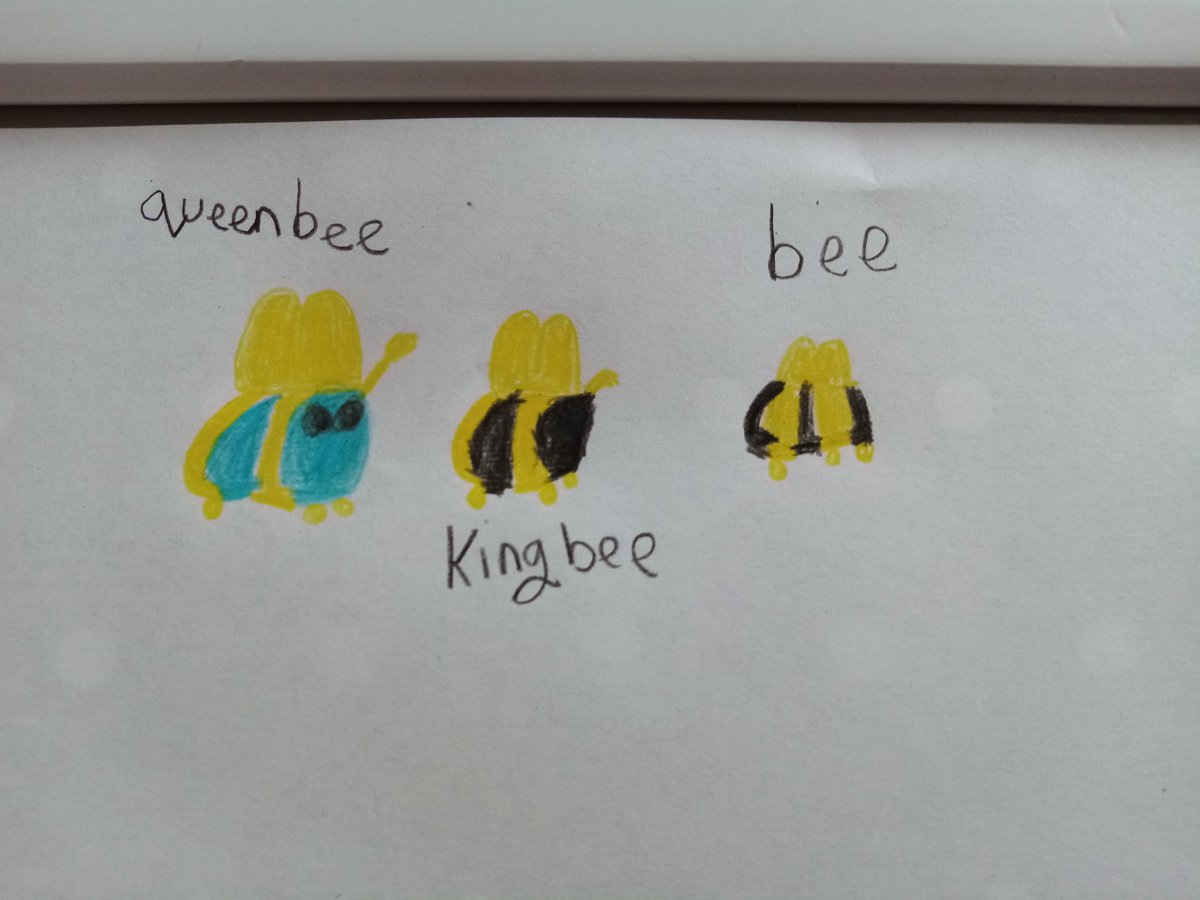 Adopt Me On Twitter You Have Until Friday To Share Something In The Adoptmecookies Hashtag But There Will Be More Baking Challenges In The Upcoming Weeks Https T Co 9fnpkkb4ba - the bees oh not the bees roblox