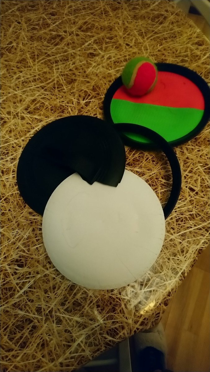 While people perfected sourdough and learnt guitar, I became OUTSTANDING at a kids beach game. A little too good - obliterated the velcro pad thingys. 💪😂💪🙄💪😢