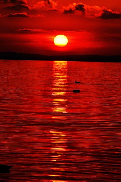 3D2023's tweet photo. The red sun  Beautiful 
Good night  ❤❤❤❤ https://t.co/k8nNIhSha2