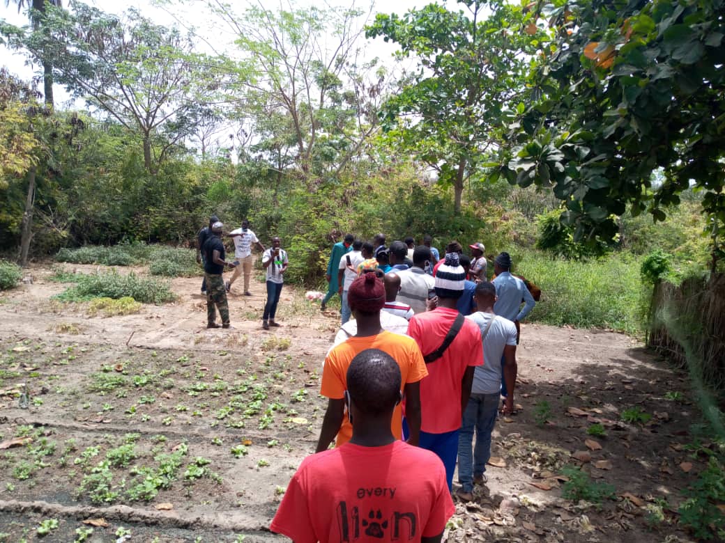 Le ministre de l'environnement Abdou Karim Sall et le maire de la ville de Pikine Abdoulaye Thimbo veulent faire déclasser 10 hectares de la forêt classée de Mbao pour des cimetières alors qu'il reste 7 à 8 hectares derrière les cimetières de Pikine (photo)