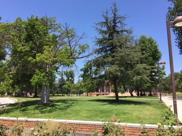csun_tseng's tweet photo. It's a very quiet day on campus today without the in-person presence of our great students! #CSUNAsOne https://t.co/WyqSQC5OGL