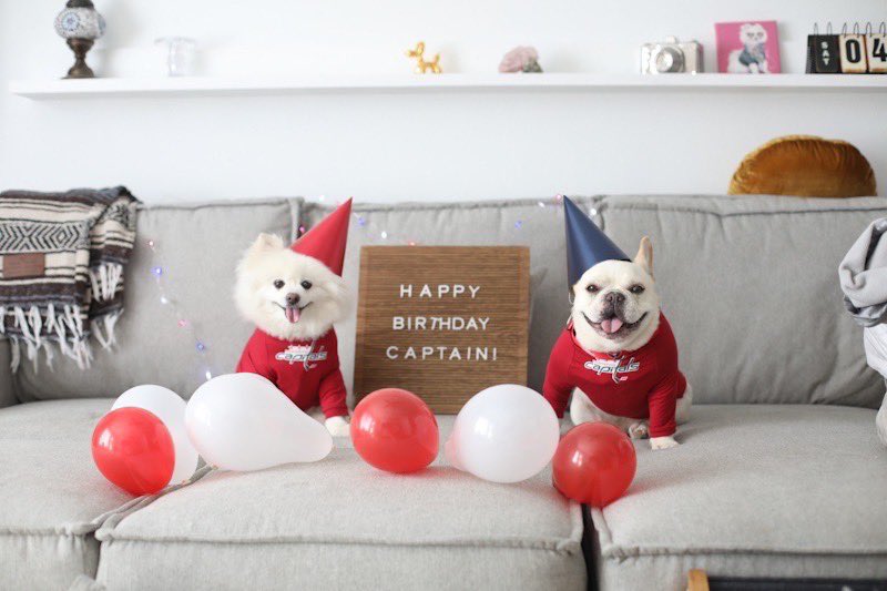 Happy Birthday Captain <a href="/CapsPup/">Biscuit</a> #capscanines