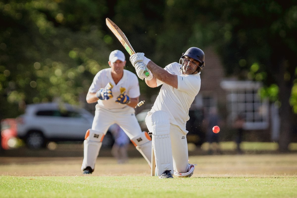 Stuart Tree tweet media