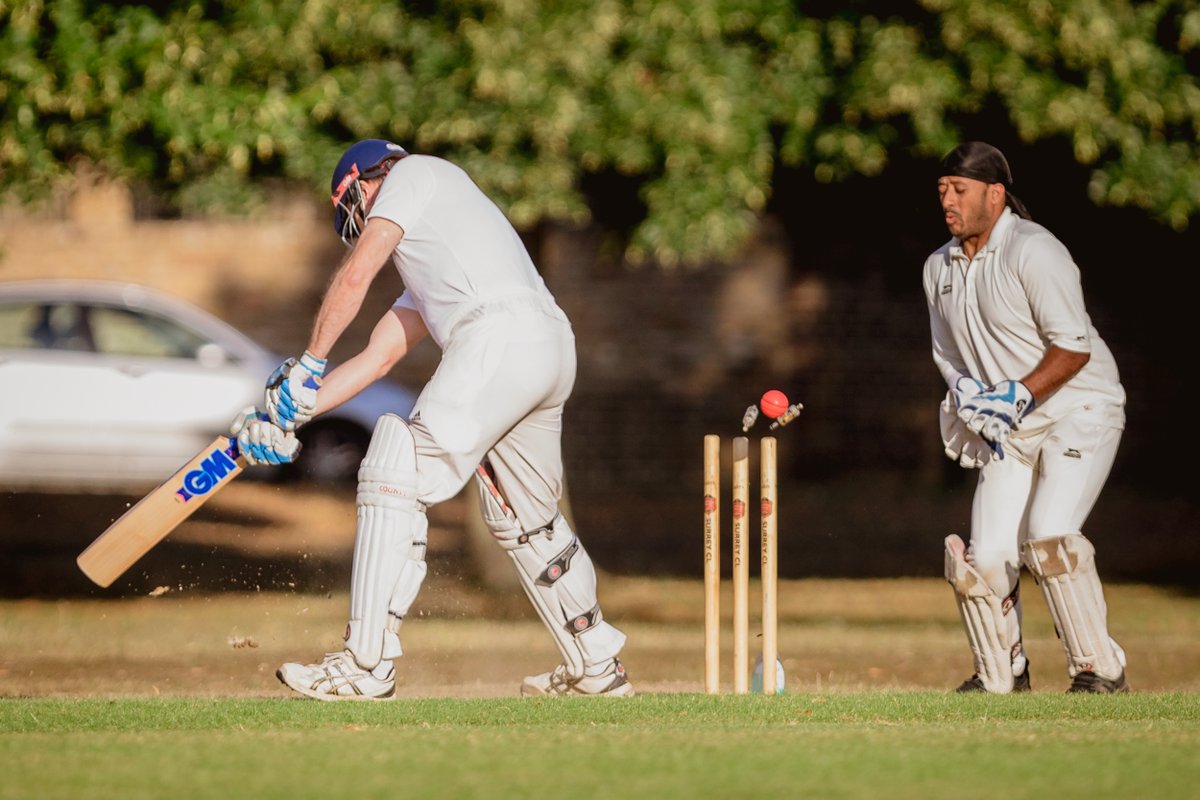 Stuart Tree tweet media