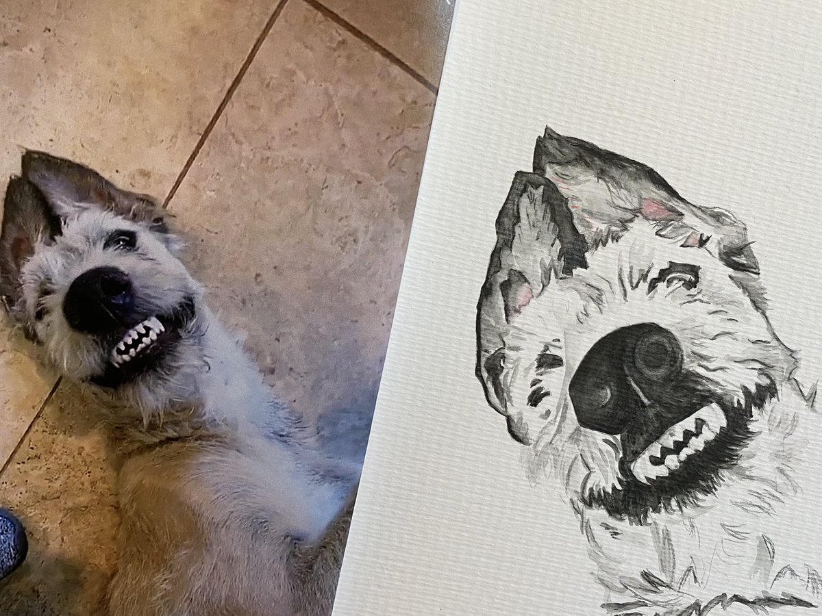 Working on this fun piece today. #dogdaysofsummer #watercolorpencils