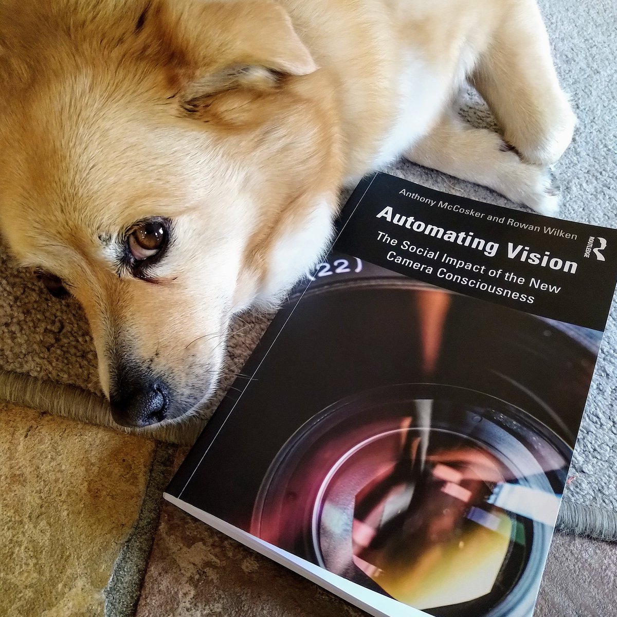 I finally got a copy of my new book Automating Vision with @endotician. Machine vision, AI, camera consciousness. Chester here thinks it's excellent and that you should buy it, read it and recommend it to others. bit.ly/3jxjeuM.